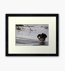 My 7D Framed Print