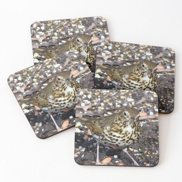 Item preview, Song Thrush designed and sold by Sharon Perrett.