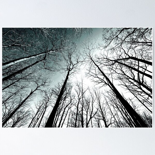 Item preview, winter woods.. designed and sold by JOSEPHMAZZUCCO.