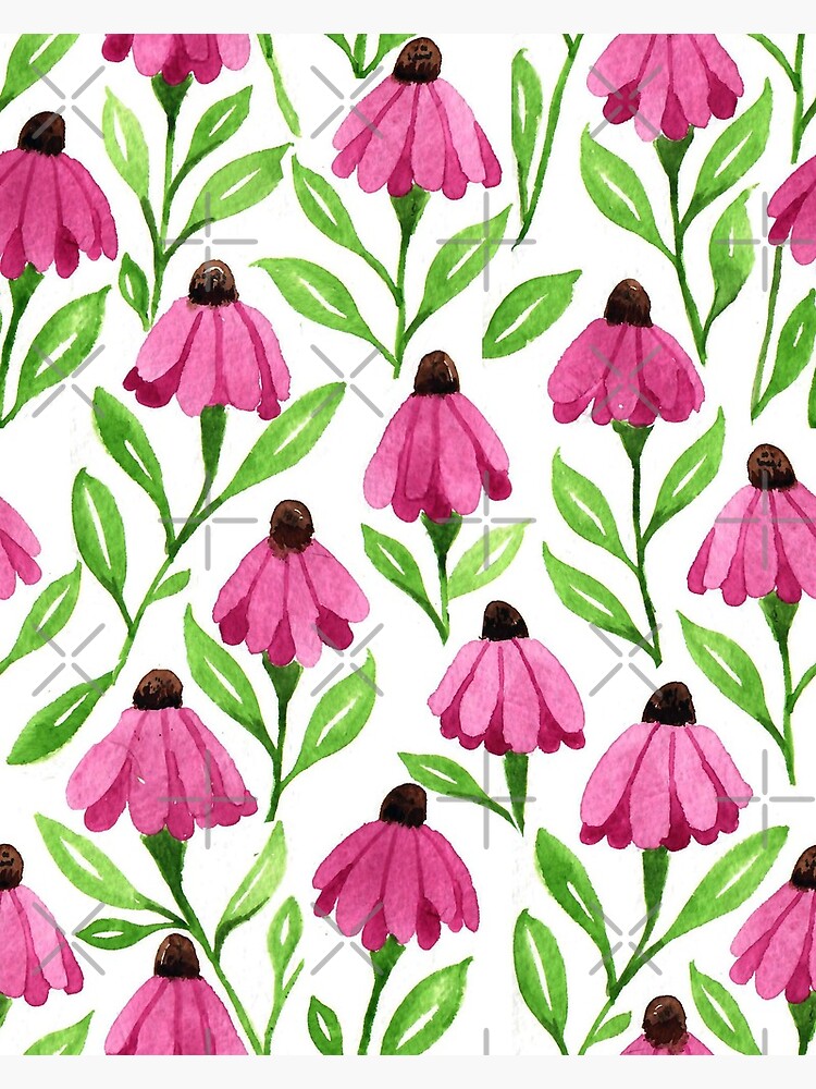 Pink Cone Flowers by creativinchi