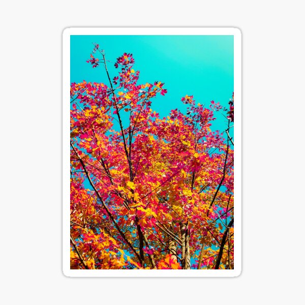 Item preview, fall skies designed and sold by varickridge.