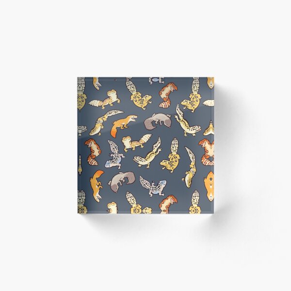 chub geckos in dark grey Acrylic Block