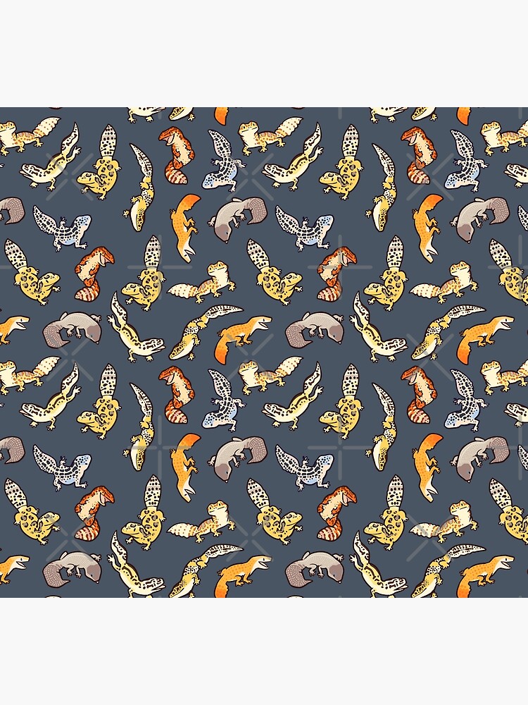 chub geckos in dark grey by Colordrilos