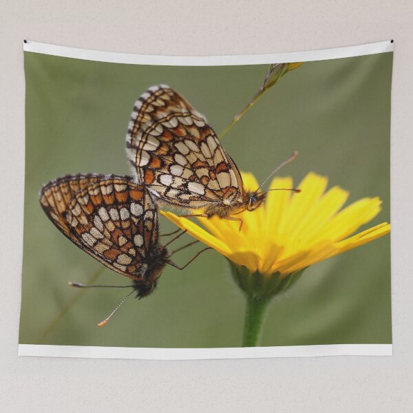 Item preview, Heath fritillary designed and sold by cuprum.