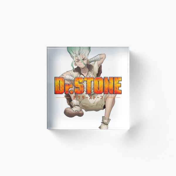 Dr. Stone anime/manga design with Senku Acrylic Block