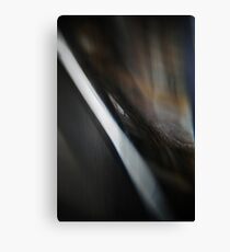 the butterfly effect Canvas Print