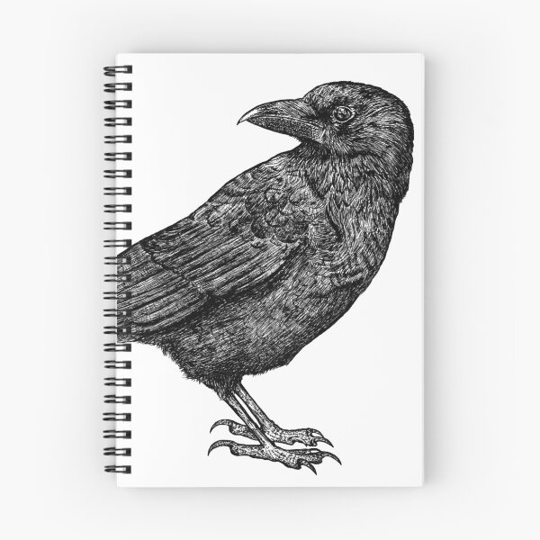 Item preview, Crow, Pen and Ink detailed drawing designed and sold by Michelle Goring.