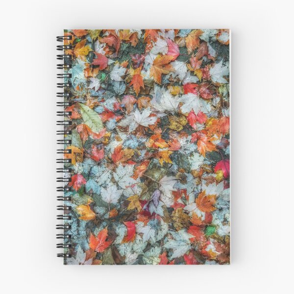 Item preview, A riot of autumn color  designed and sold by J Rier Photography.