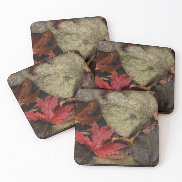Item preview, Autumn leaves designed and sold by J Rier Photography.