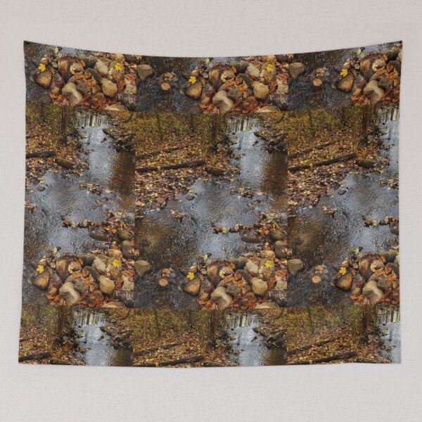 Item preview, Stream in autumn color designed and sold by J Rier Photography.