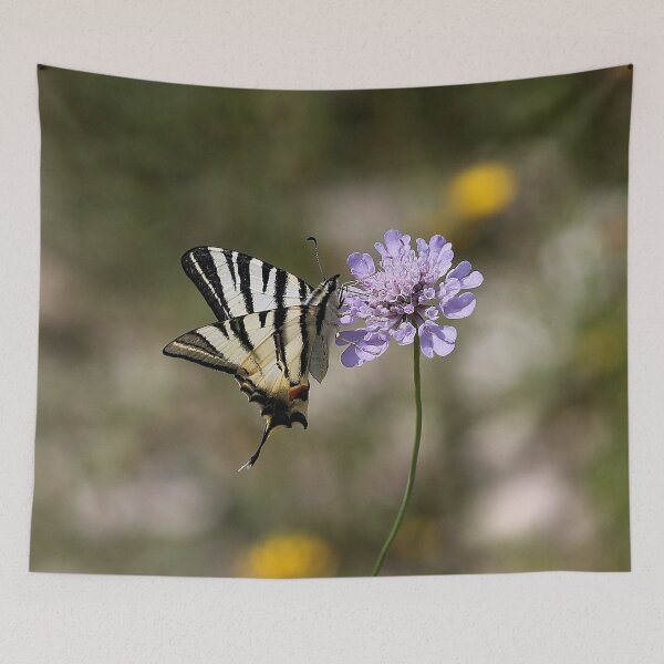 Item preview, Scarce Swallowtail designed and sold by cuprum.