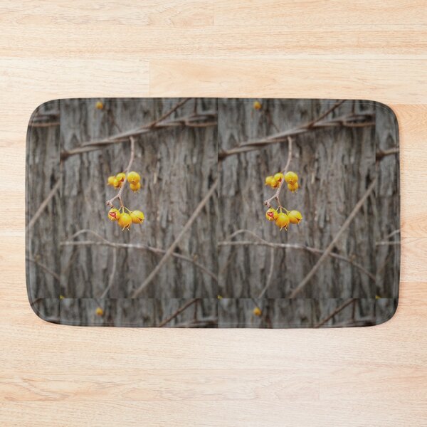 Item preview, Bittersweet designed and sold by J Rier Photography.