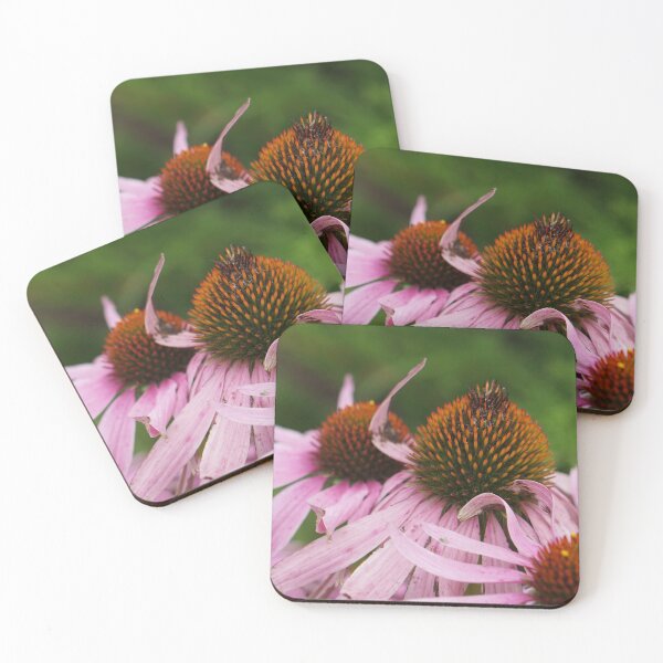 Item preview, luxurious echinacea designed and sold by distracted.