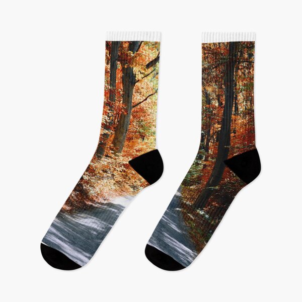 Item preview, Autumn Pathway ~ Rockville, Indiana ~ United States designed and sold by Lynn  Marie Sharp.