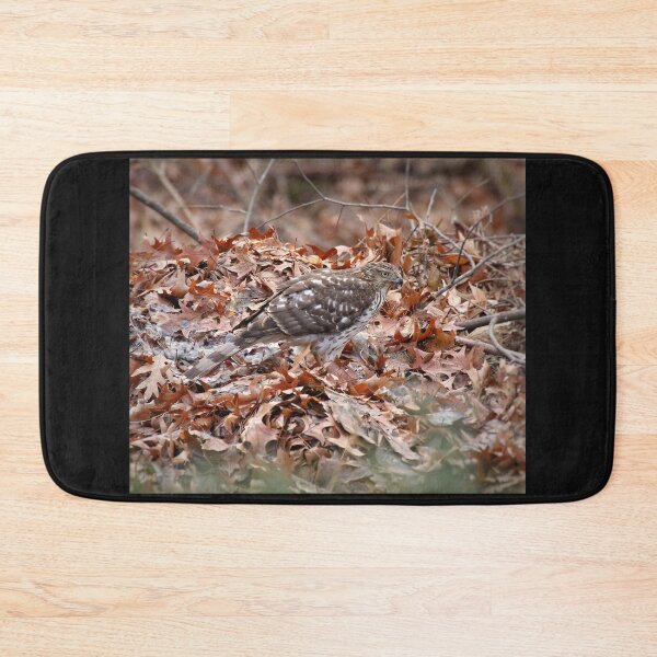 Item preview, Coopers Hawk designed and sold by J Rier Photography.