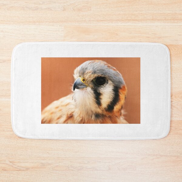Item preview, Sparrowhawk designed and sold by RichImage.