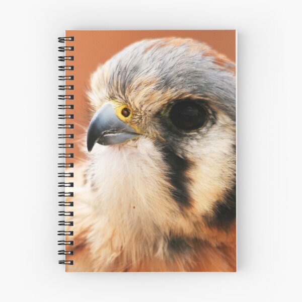 Item preview, Sparrowhawk designed and sold by RichImage.
