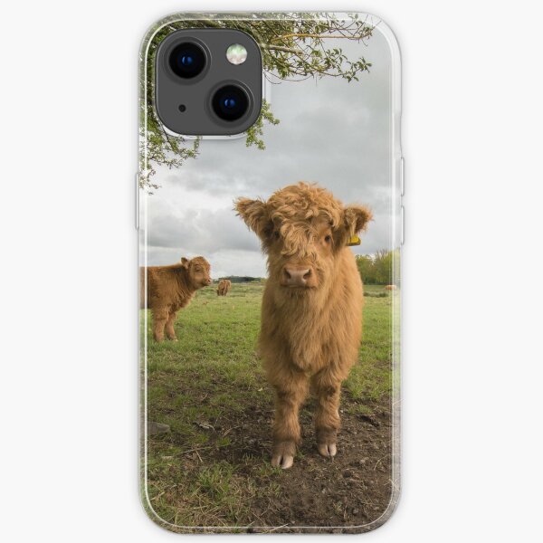 Highland cattle iPhone Soft Case
