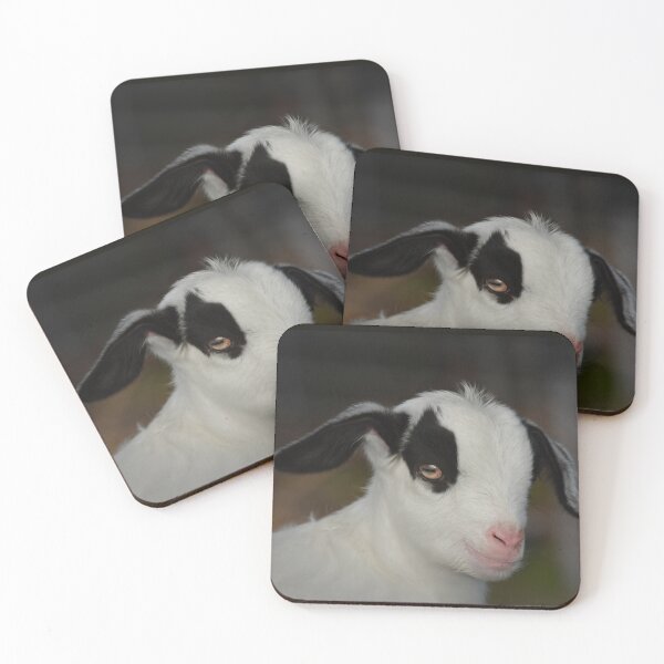 Item preview, Little Goat  designed and sold by Savannah Gibbs.
