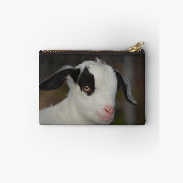Item preview, Little Goat  designed and sold by Savannah Gibbs.