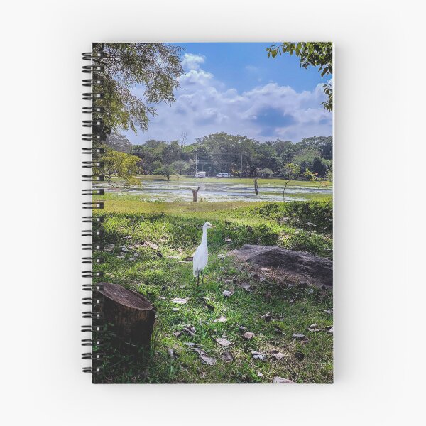 Item preview, CRANE IN A SWAMP designed and sold by Rashan Fernando.