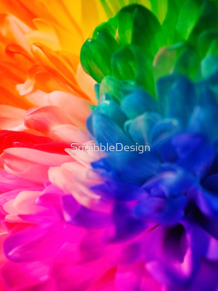Rainbow Flower #2 by SquibbleDesign
