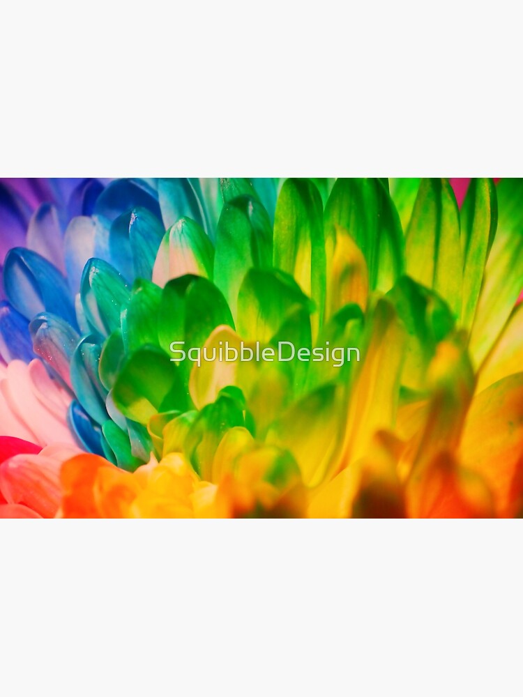 Rainbow Flower #1 by SquibbleDesign