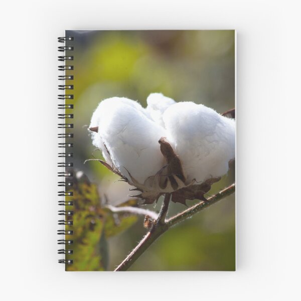 Item preview, Cotton plant growing outdoors designed and sold by Allen Penton.