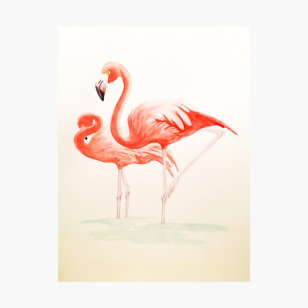 flamingo couple Photographic Print
