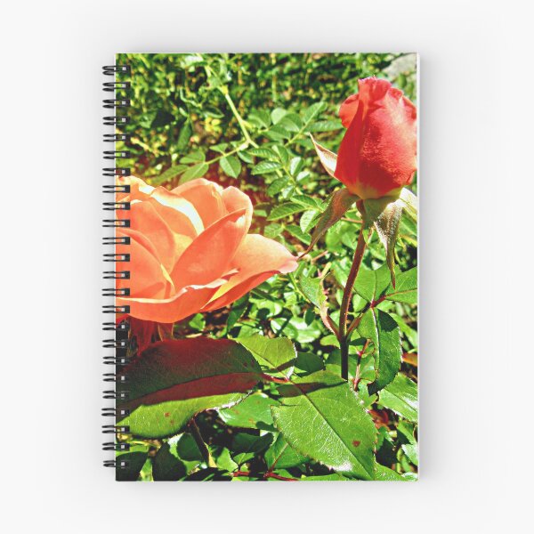 Item preview, Orange Roses designed and sold by Shulie1.