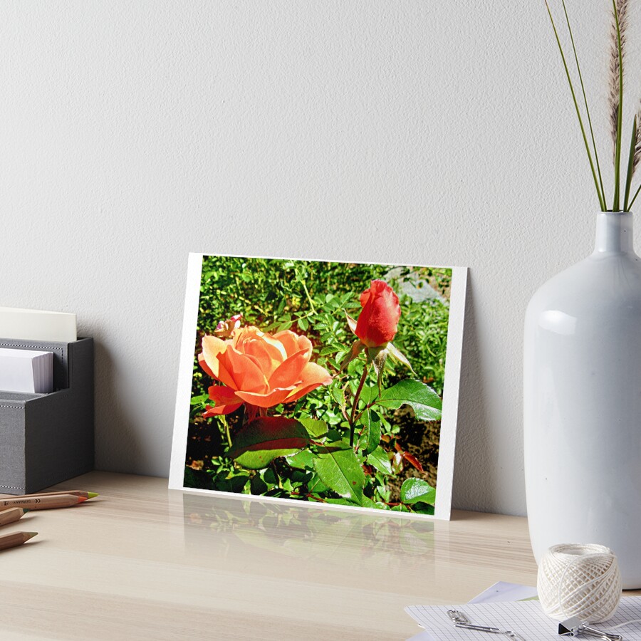 Item preview, Art Board Print designed and sold by Shulie1.