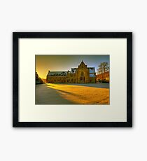 Golden light Framed Print