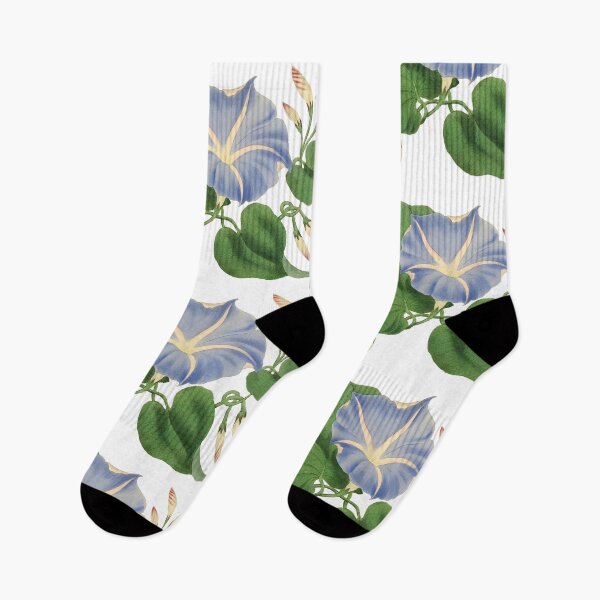 Item preview, Morning Glories, Vintage Flower Illustration, Morning Glory designed and sold by florafaunaartco.