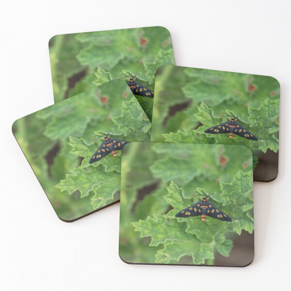 Item preview, Tiger Moth designed and sold by LizardSpirit.