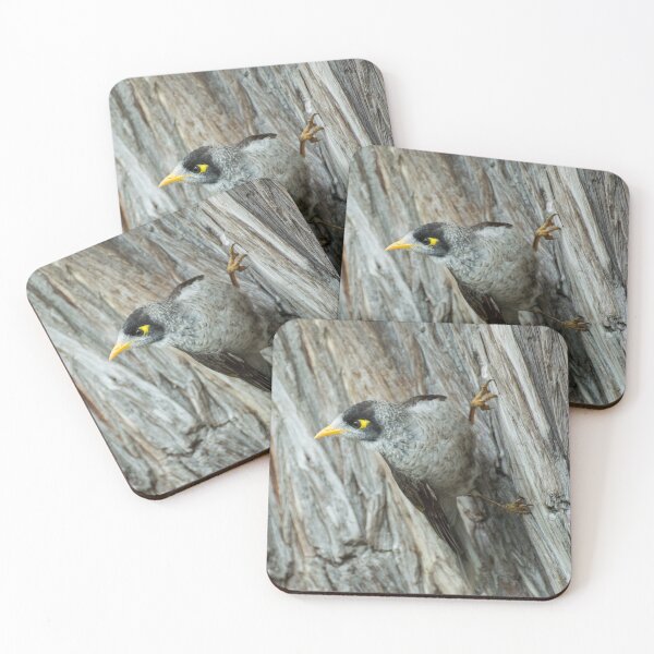 Item preview, Noisy Miner designed and sold by LizardSpirit.