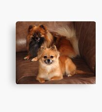Astro and Karma Canvas Print