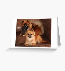 Astro and Karma Greeting Card
