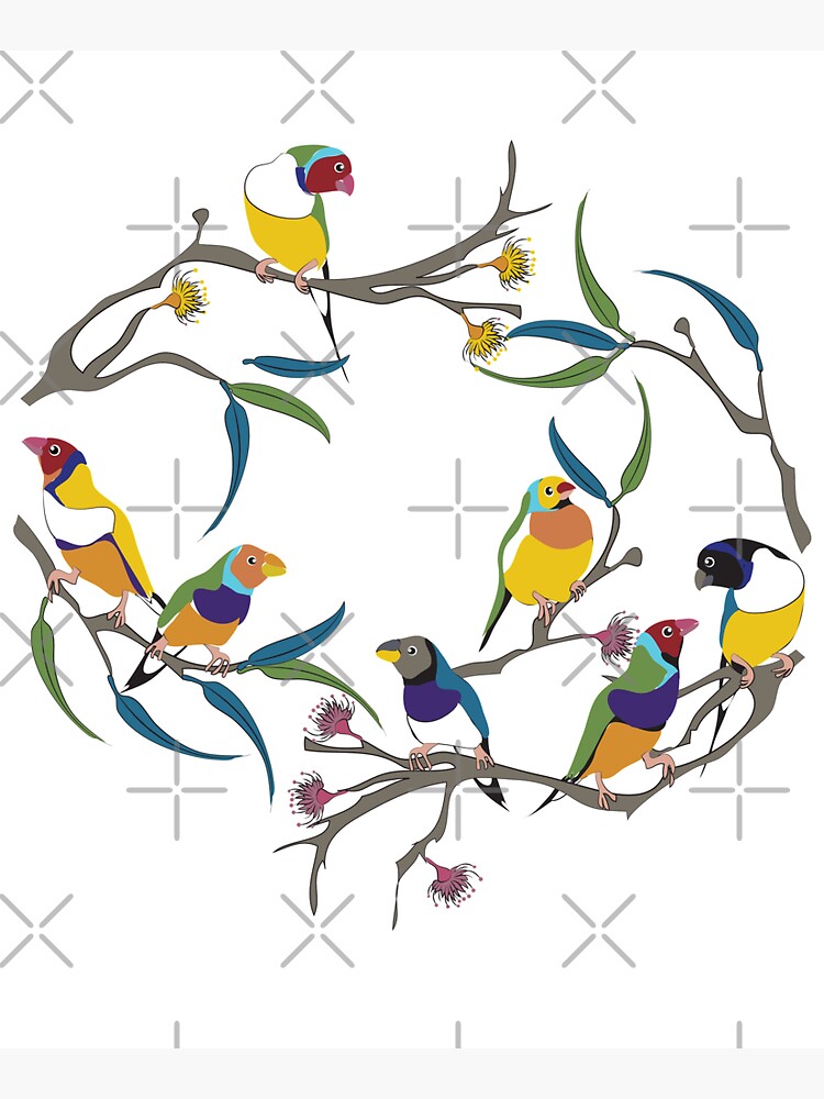 Australian Gouldian (Rainbow) Finches by madeatno37