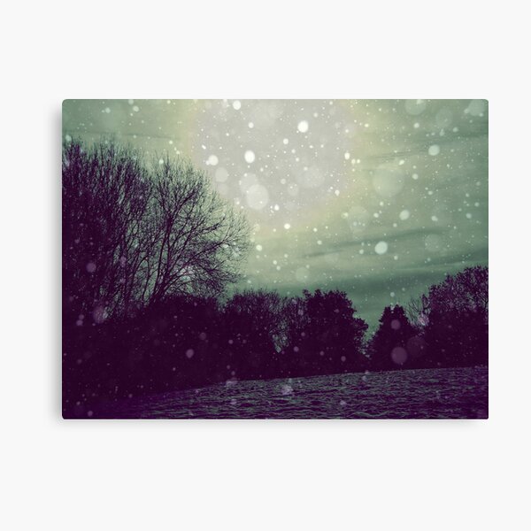 Winter Canvas Print
