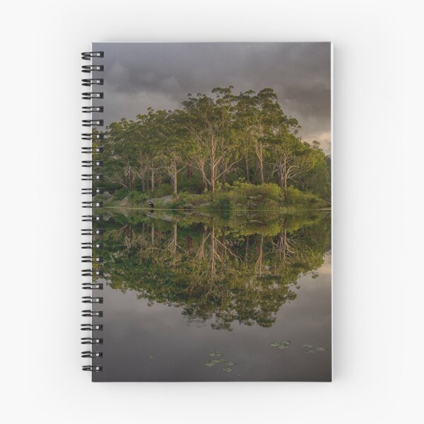 Item preview, Reflections designed and sold by Steve Randall.