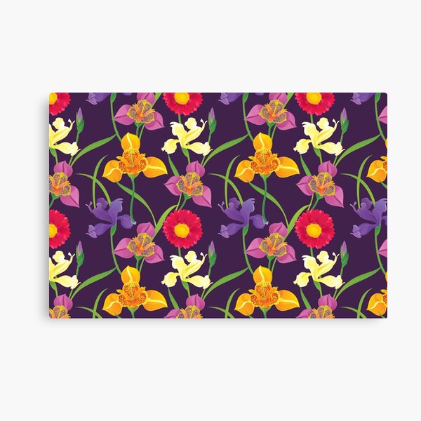 Tigridia, Iris, Daisy Pattern Canvas Print