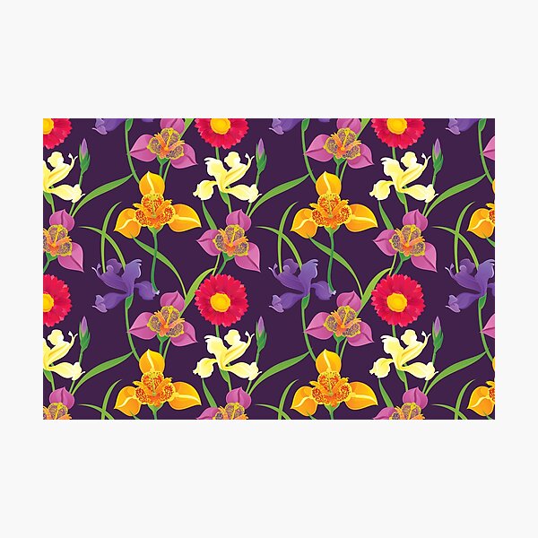 Tigridia, Iris, Daisy Pattern Photographic Print