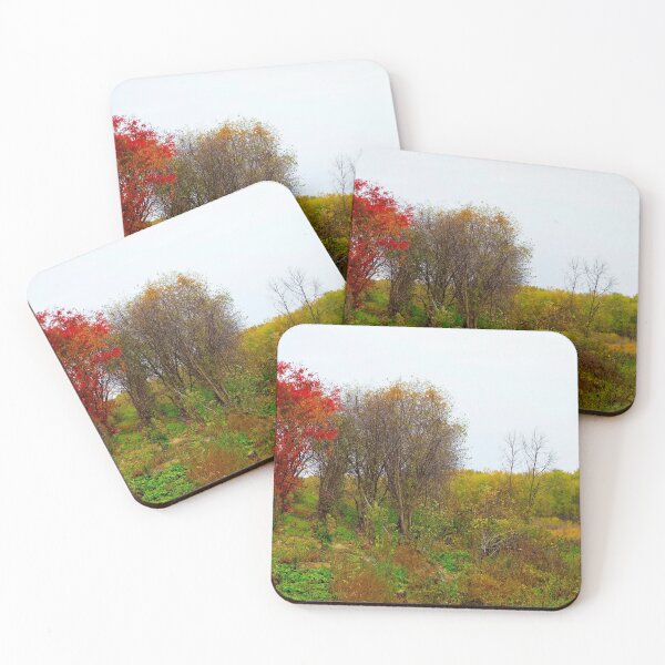 Item preview, Waverly Study 12  designed and sold by Robert Meyers-Lussier.