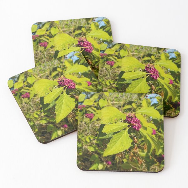 Item preview, American Beauty Berry designed and sold by Amanda Huggins.