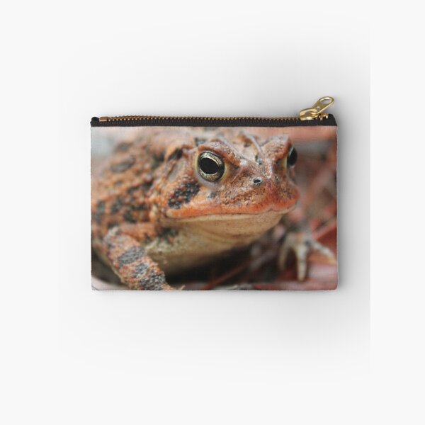 Item preview, Red Toad designed and sold by Islandjunkie09.