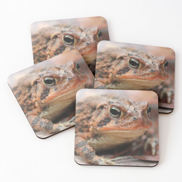 Item preview, Red Toad designed and sold by Islandjunkie09.