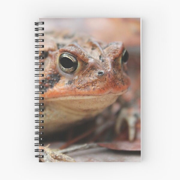 Item preview, Red Toad designed and sold by Islandjunkie09.