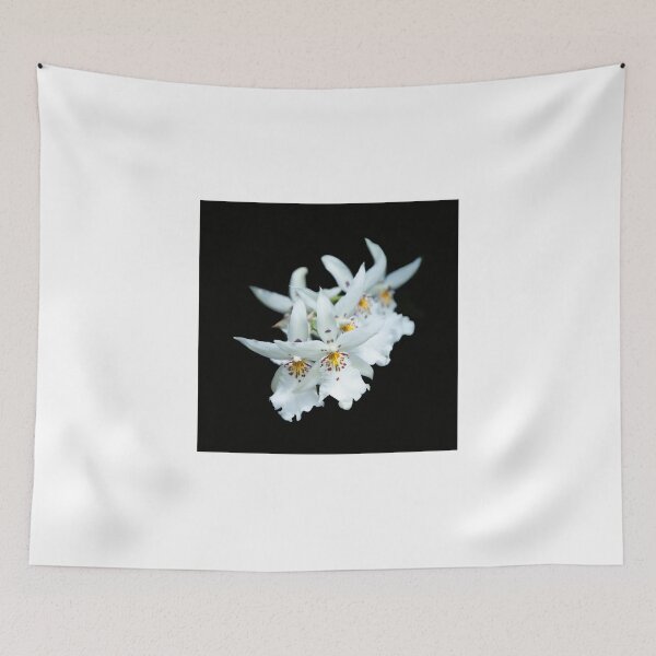 Item preview, White orchids designed and sold by Ilze Lucero.