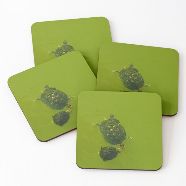 Item preview, Momma and baby turtle designed and sold by Amanda Huggins.