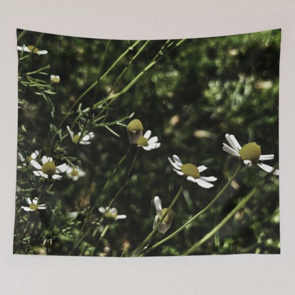 Item preview, Evening chamomile designed and sold by Trendature Online .